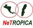 NeT-logo